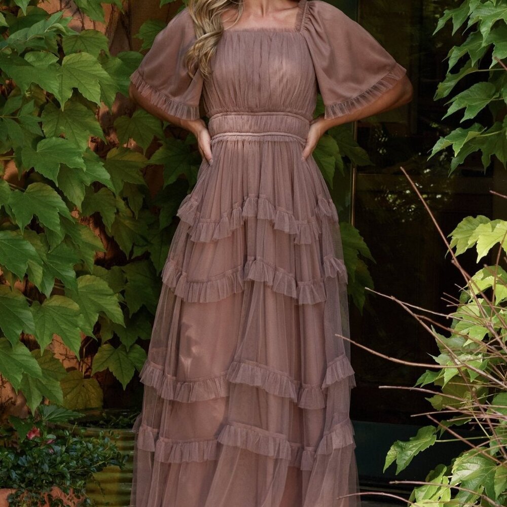 Baltic Born Magdalena Tulle Maxi Dress | Mink Size LL